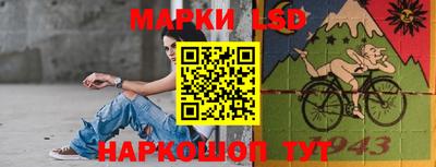 гидропоника Владимир
