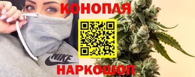гидропоника Владимир
