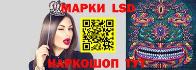 гидропоника Владимир
