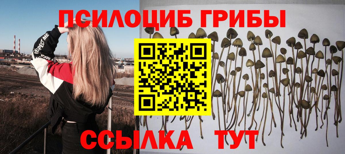 Псилоцибиновые грибы ЛСД Боровичи
